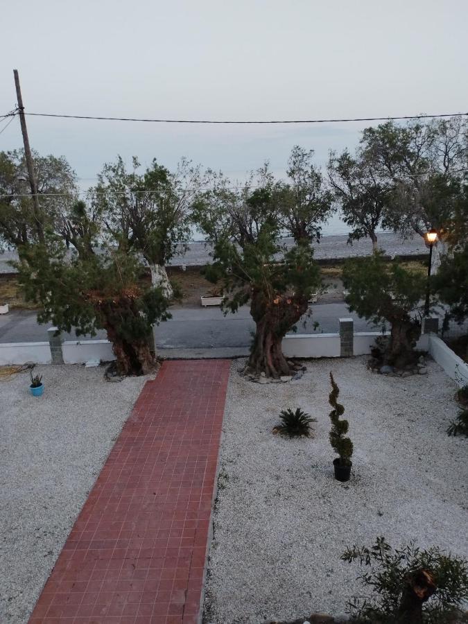 Zorbas Sougia Exterior foto