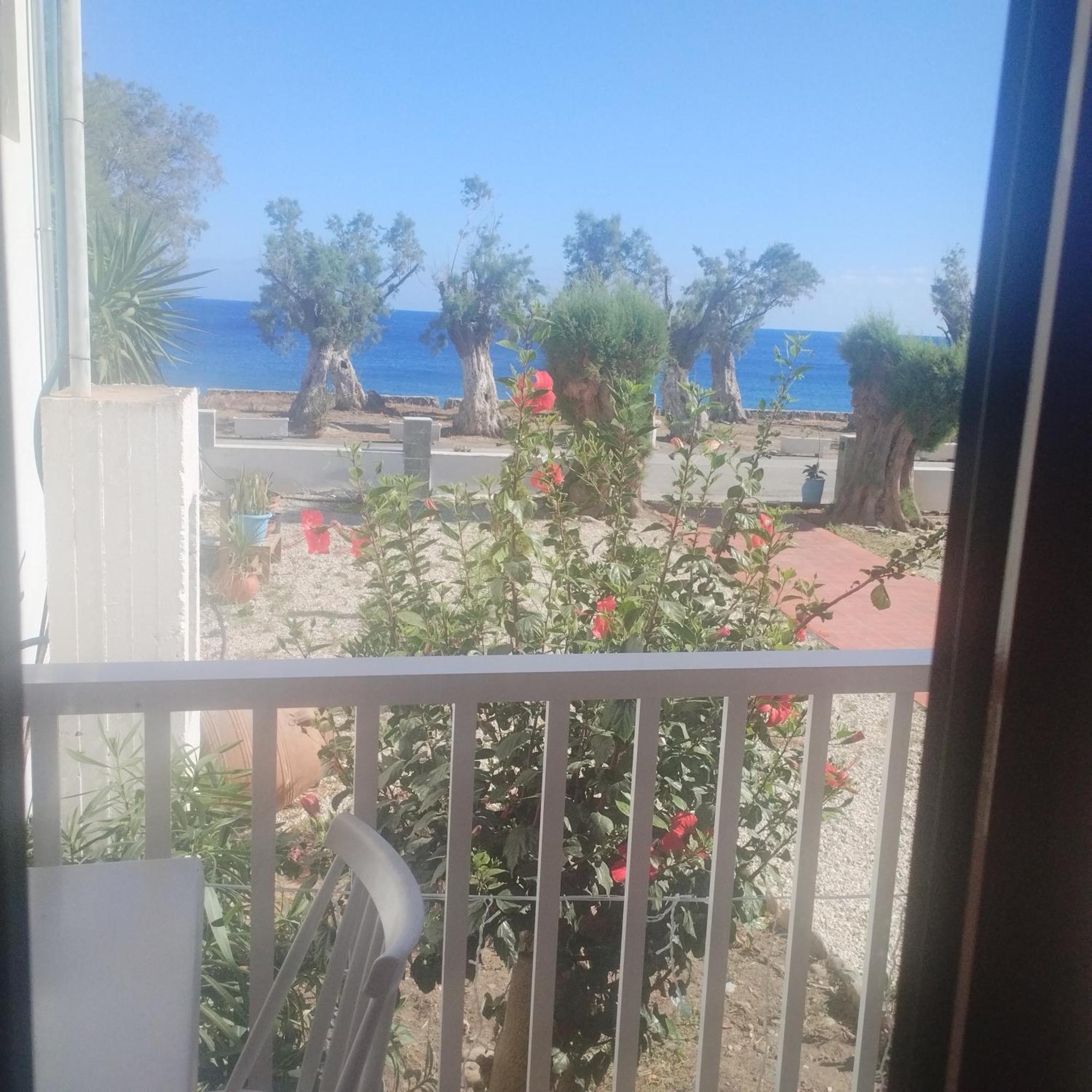 Zorbas Sougia Exterior foto